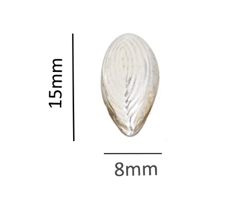 Silver (98% purity) Holy and sacred cardamom 5 Quantity for Pooja and Gift, Pure Silver Elaichi for temple and worship